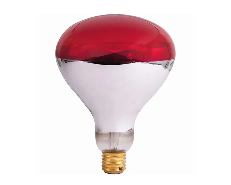 Bec inflarosu 250 W DDV