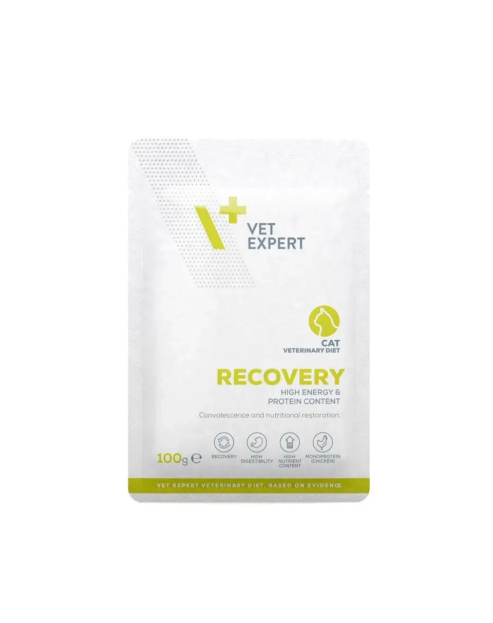 Hrana dietetica pentru pisici Recovery VetExpert 100 gr