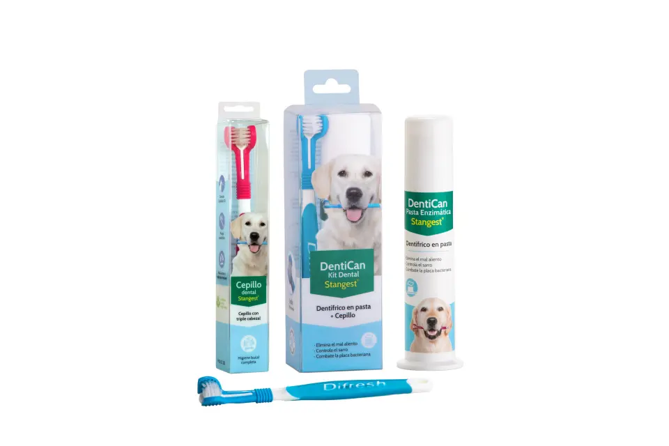 Kit Dental Periuta + Pasta de dint 100 g Dentican, Stangest