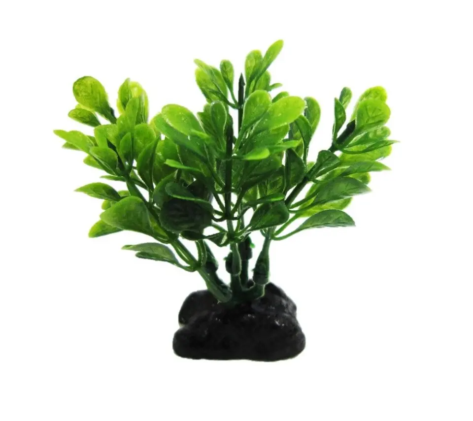 Resun Planta Plastic Boxwood Green 8 cm
