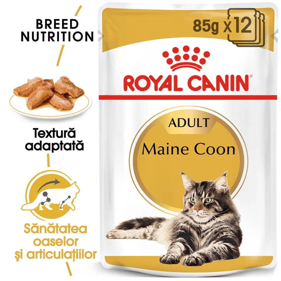 ROYAL CANIN Maine Coon Adult, hrană umedă pisici, (în sos), bax, 85g x 12buc