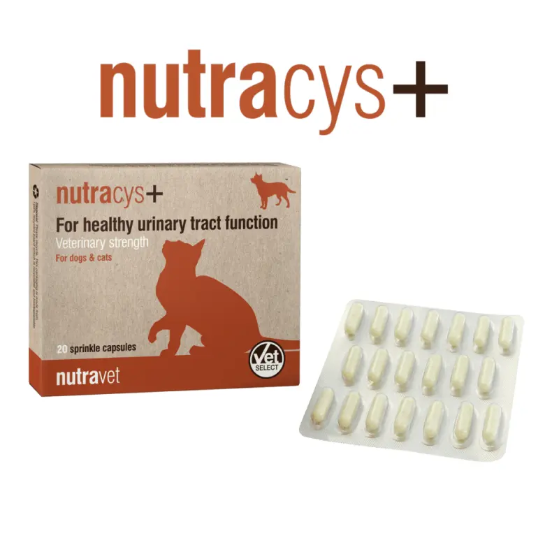 Nutravet Nutracys+, Caini & Pisici, 20 capsule