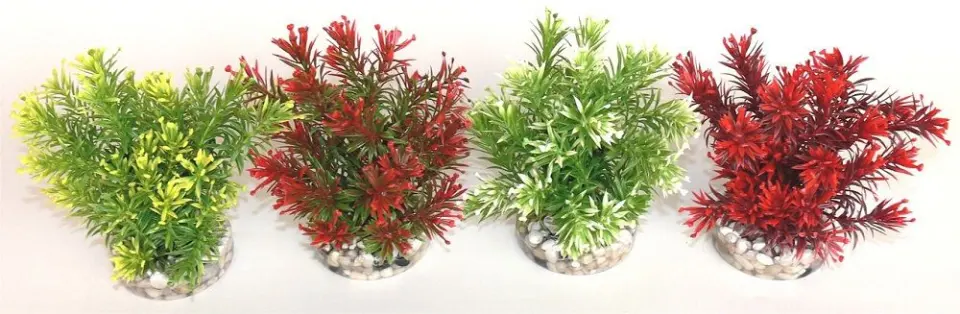 Sydeco Plante Jungle Small 15cm 633