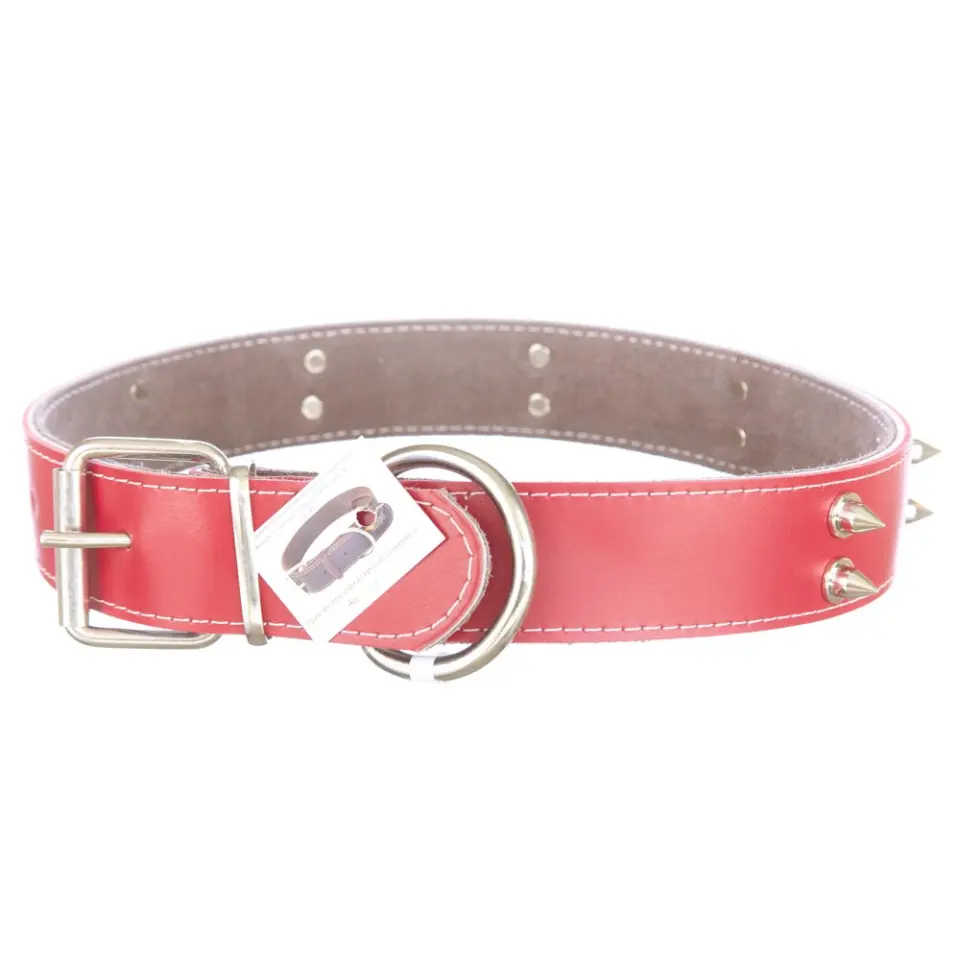 Zgarda din piele, rosie, cu colti metalici, 4 cm x 75 cm, pentru caini de talie mare