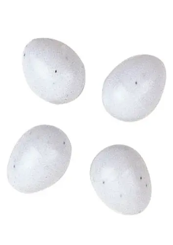 Ferplast Jucarie Oua Plastic FPI 4310