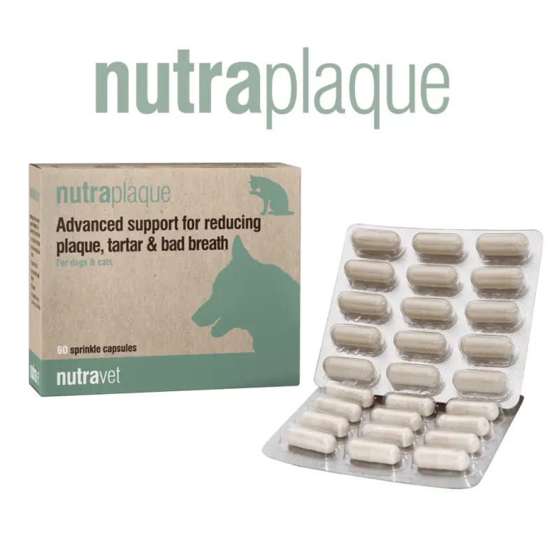 Nutravet NutraPlaque, Caini & Pisici, 60 capsule moi