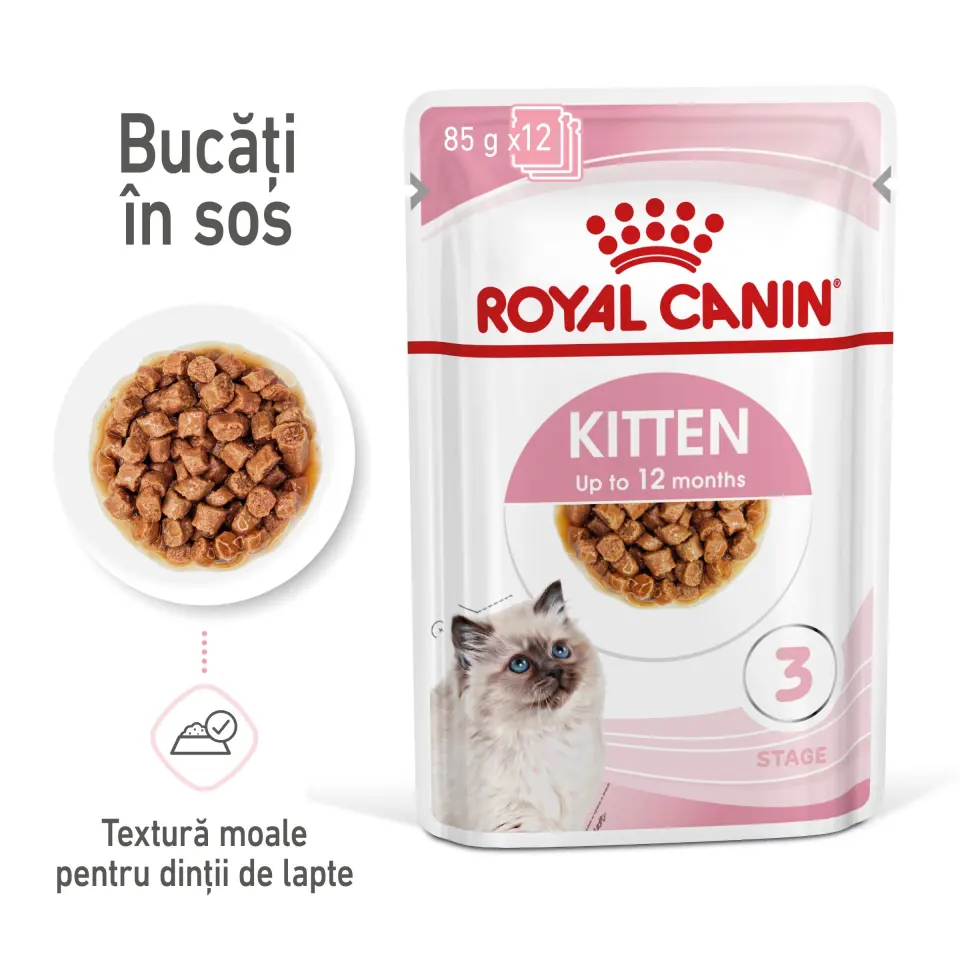 Royal Canin Kitten hrana umeda pisica (in sos), 12 x 85 g