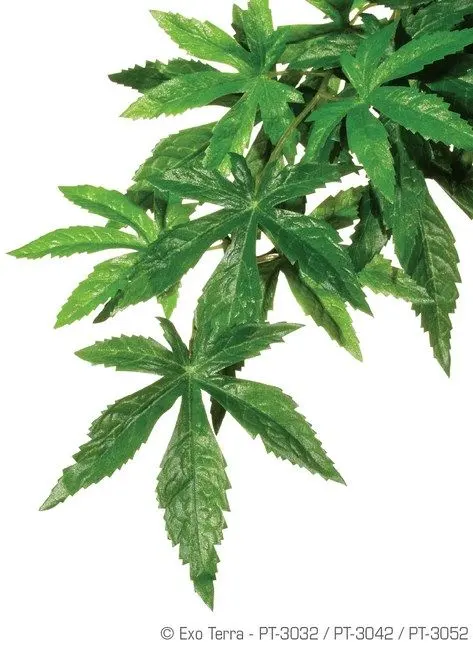 EXO TERRA PLANTA ABUTILON SMALL 40 CM PT3032