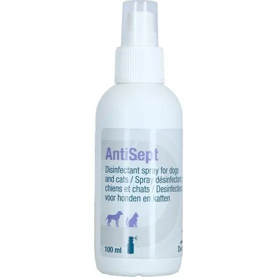 Antisept, 100 ml