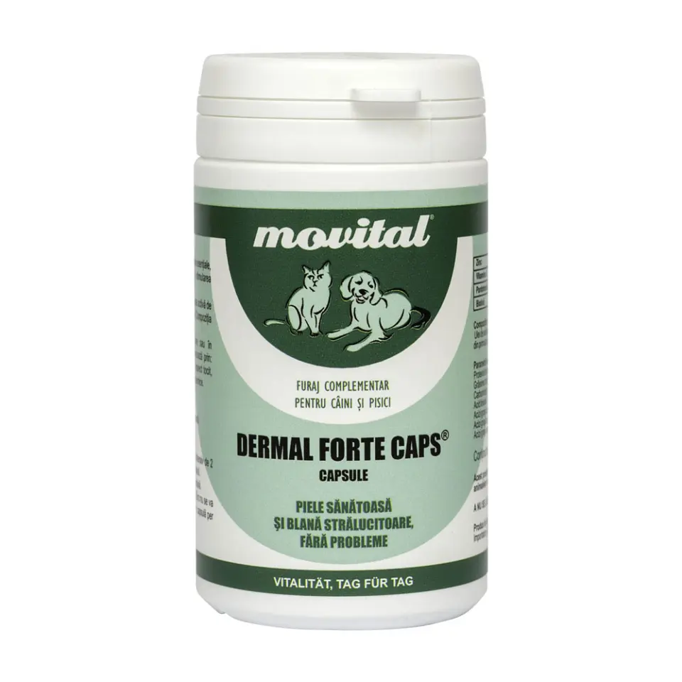 Dermal forte caps 100tb (40gr)