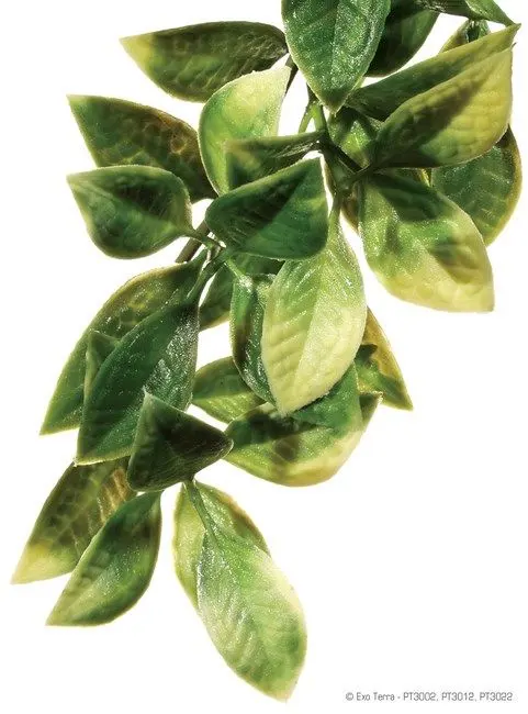 EXO TERRA PLANTA MANDARIN LARGE 70 CM PT3022