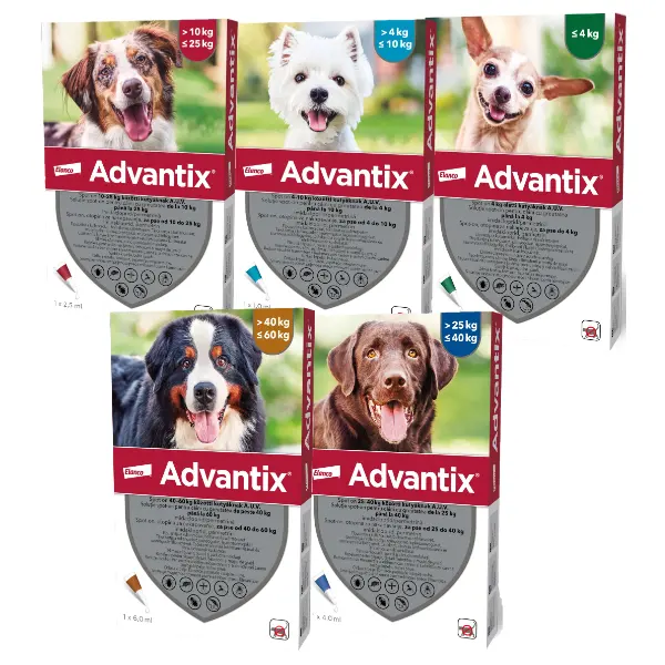 Advantix Pipeta Caine - xs