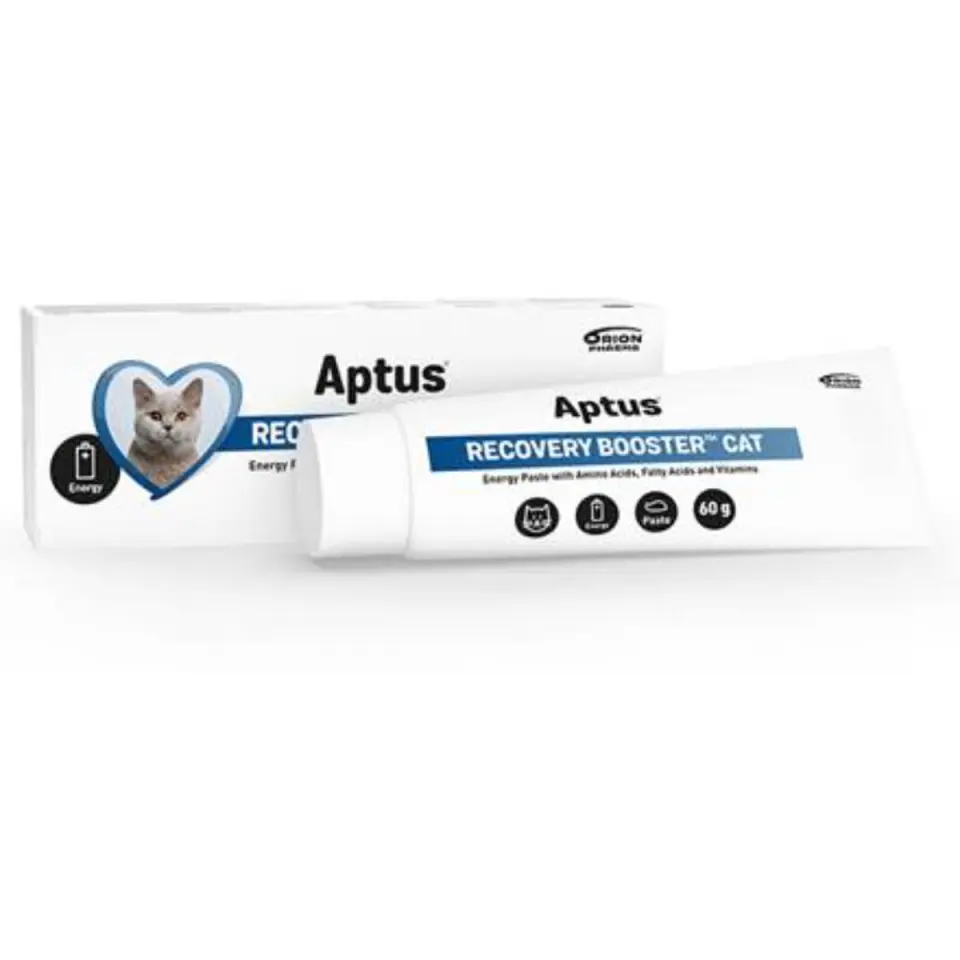 APTUS Recovery Booster, supliment convalescență pisici, pastă orală