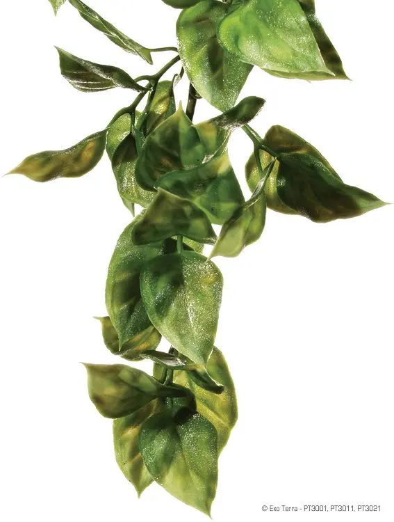 Exo Terra Planta Ampallo Medium 40 CM PT3011