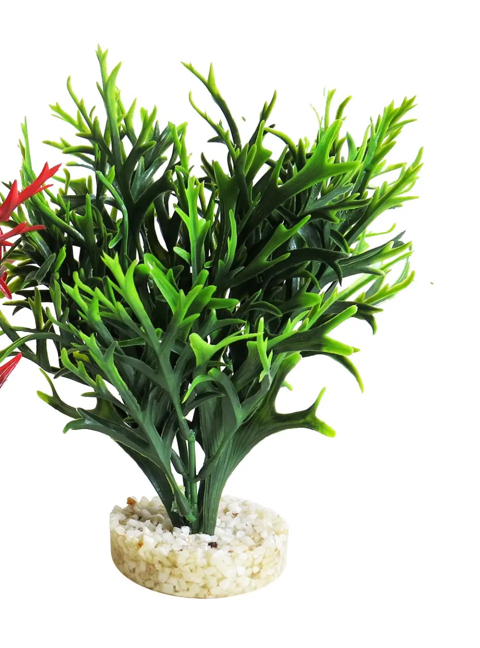 Sydeco Planta Water Fern Large 15 cm 349659