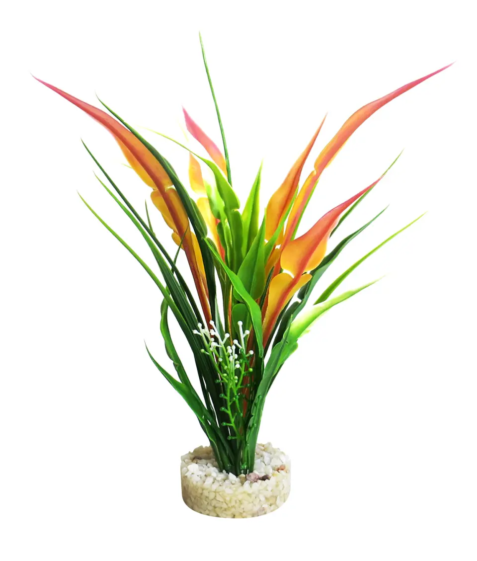 Sydeco Planta Anubias Pearl 22 cm 380434