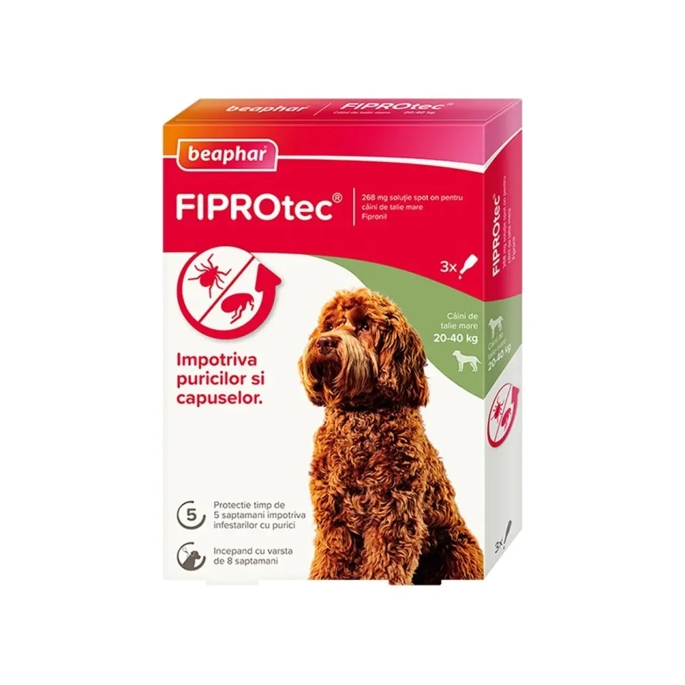 Pipete Antiparazitare Caini Fiprotec, Beaphar, L 20-40 kg/ 3 pipete x 2.68 ml