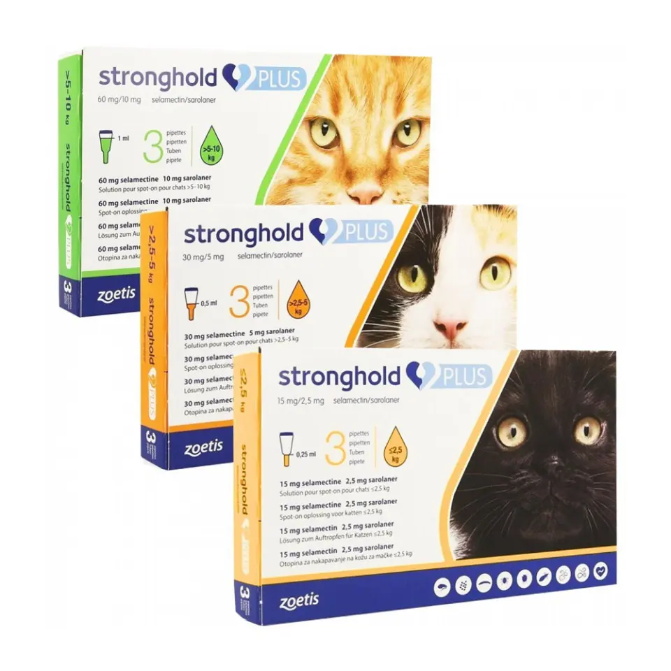 Stronghold Plus Pisica, 1 pipeta