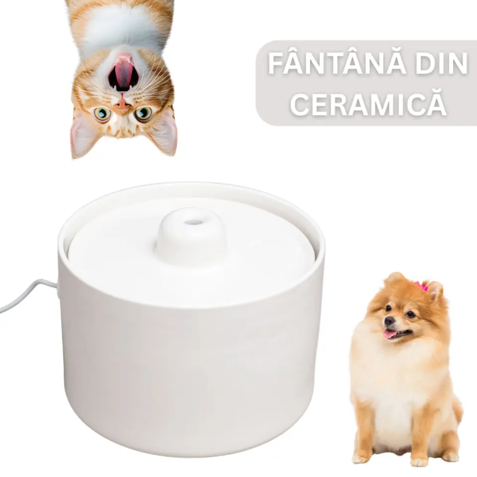 SHAW Fântână Ceramică , fântână pisici, rotundă, sistem filtrare, ceramică, bej, 2l