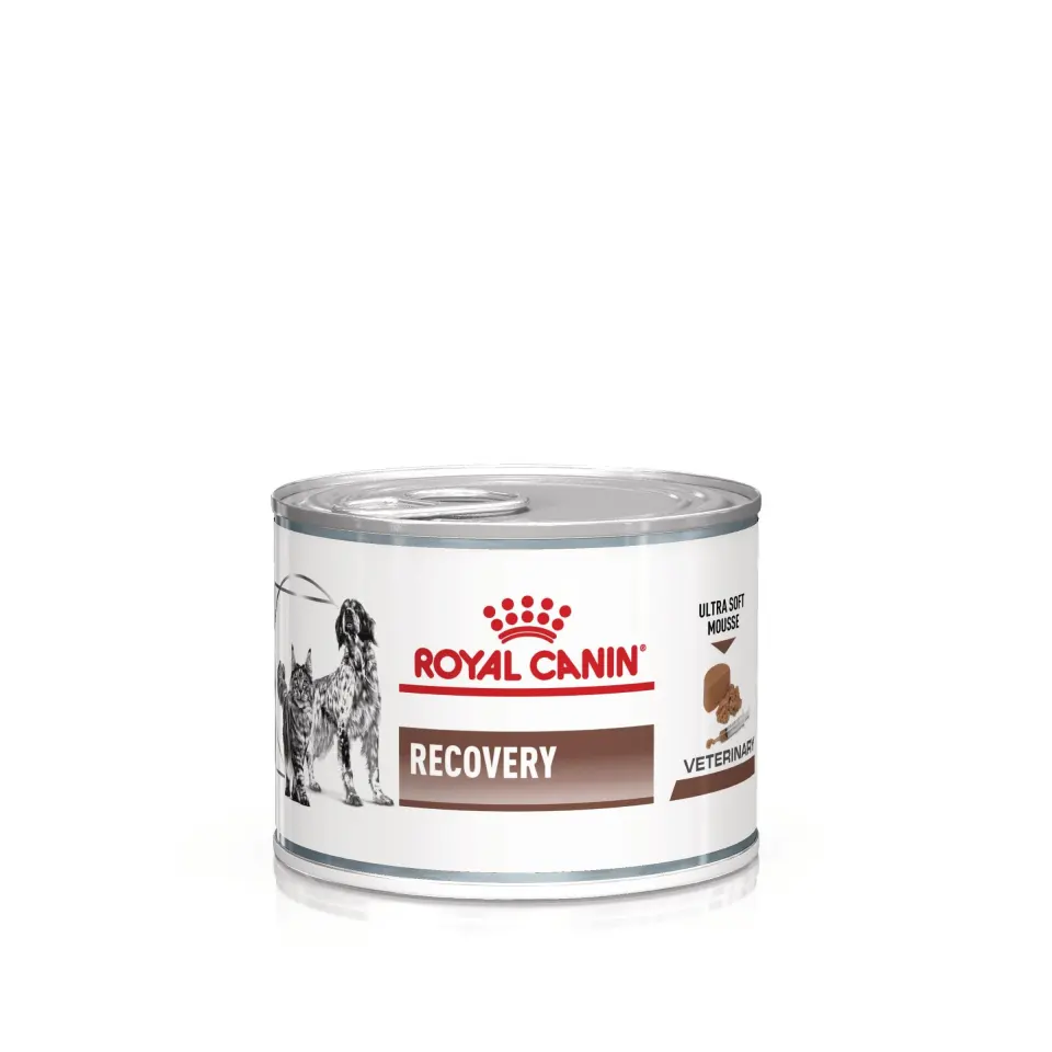 ROYAL CANIN Recovery, dieta veterinara caini si pisici, convalescenta, 195 g