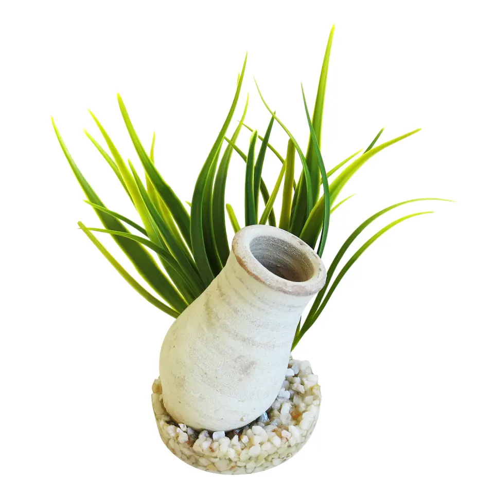 Sydeco Planta Cannon Biscuit 15 cm 380470