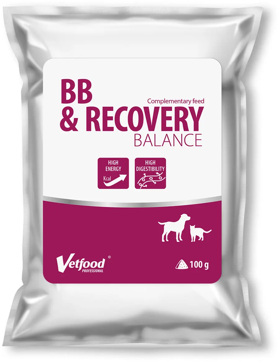VetFood BB & RECOVERY BALANCE, 100 g