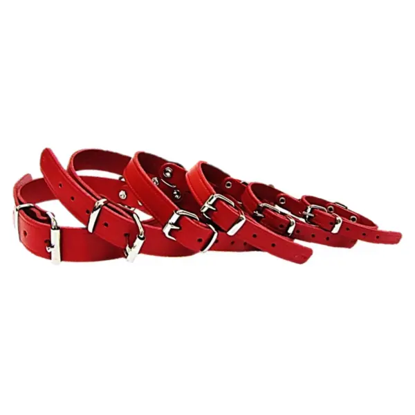 Pet Expert Zgarda Clasic - nr-2