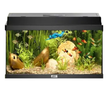 Juwel Acvariu Led Primo 110 Negru 2.0