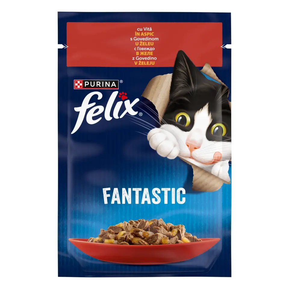 Felix Fantastic, Vita, 85 g