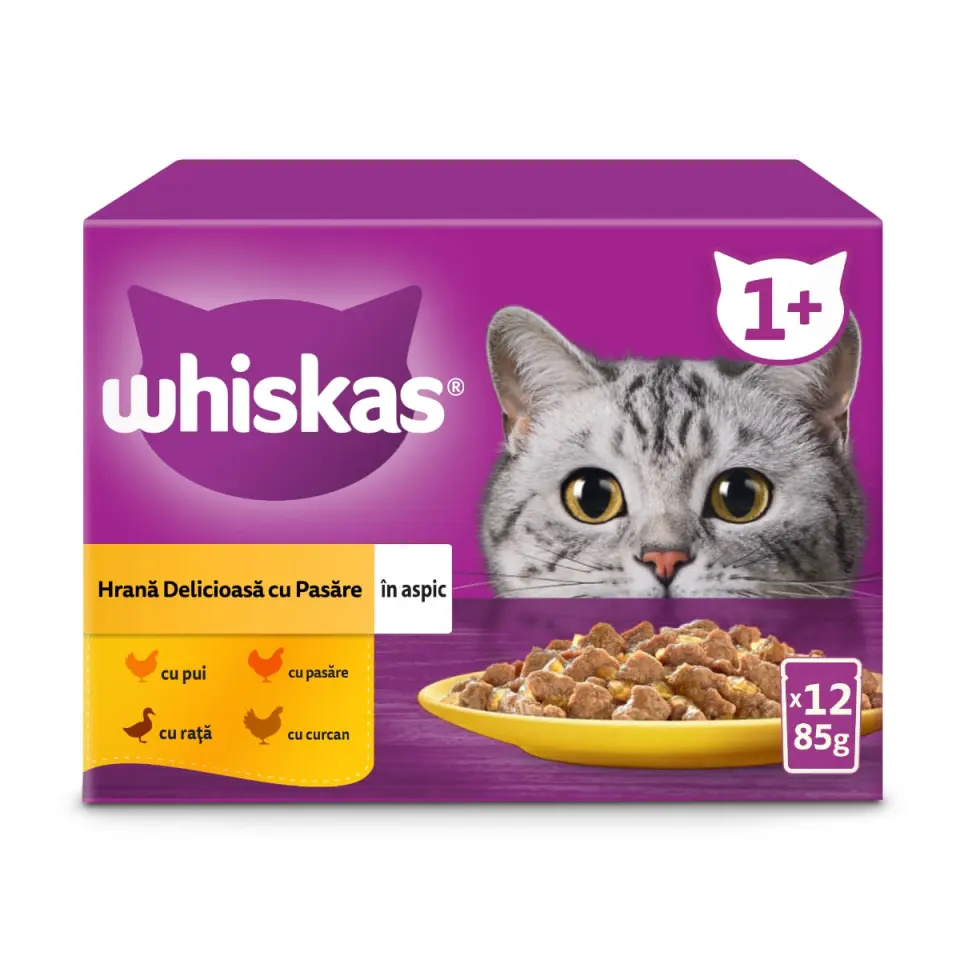 WHISKAS 1+ Poultry Feasts, Pasăre, plic hrană umedă pisici, (în aspic)