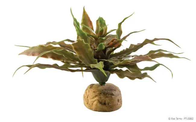 Exo Terra Plante Star Cactus PT2982