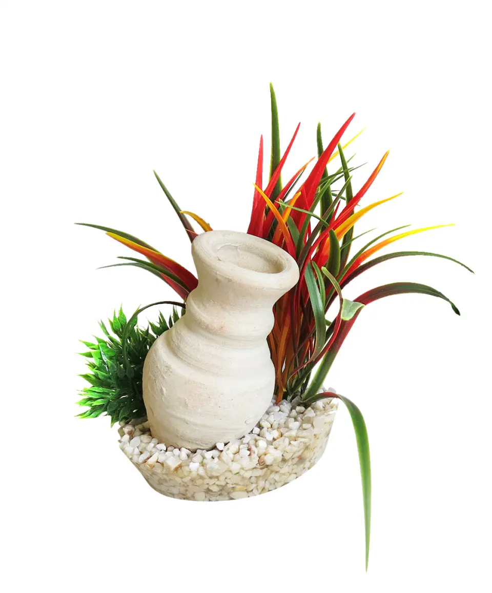 Sydeco Planta Cannon Grass 15 cm 380481