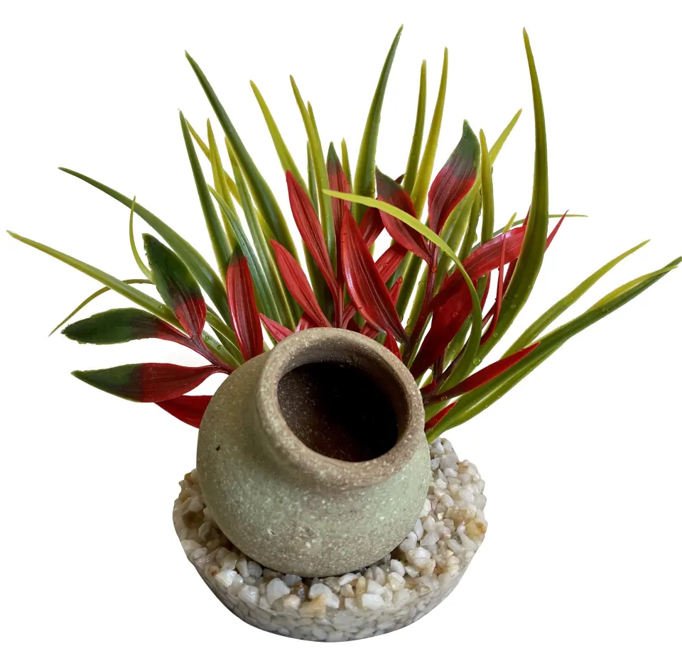 Sydeco Planta Mini Jug Plant 15 cm 380482