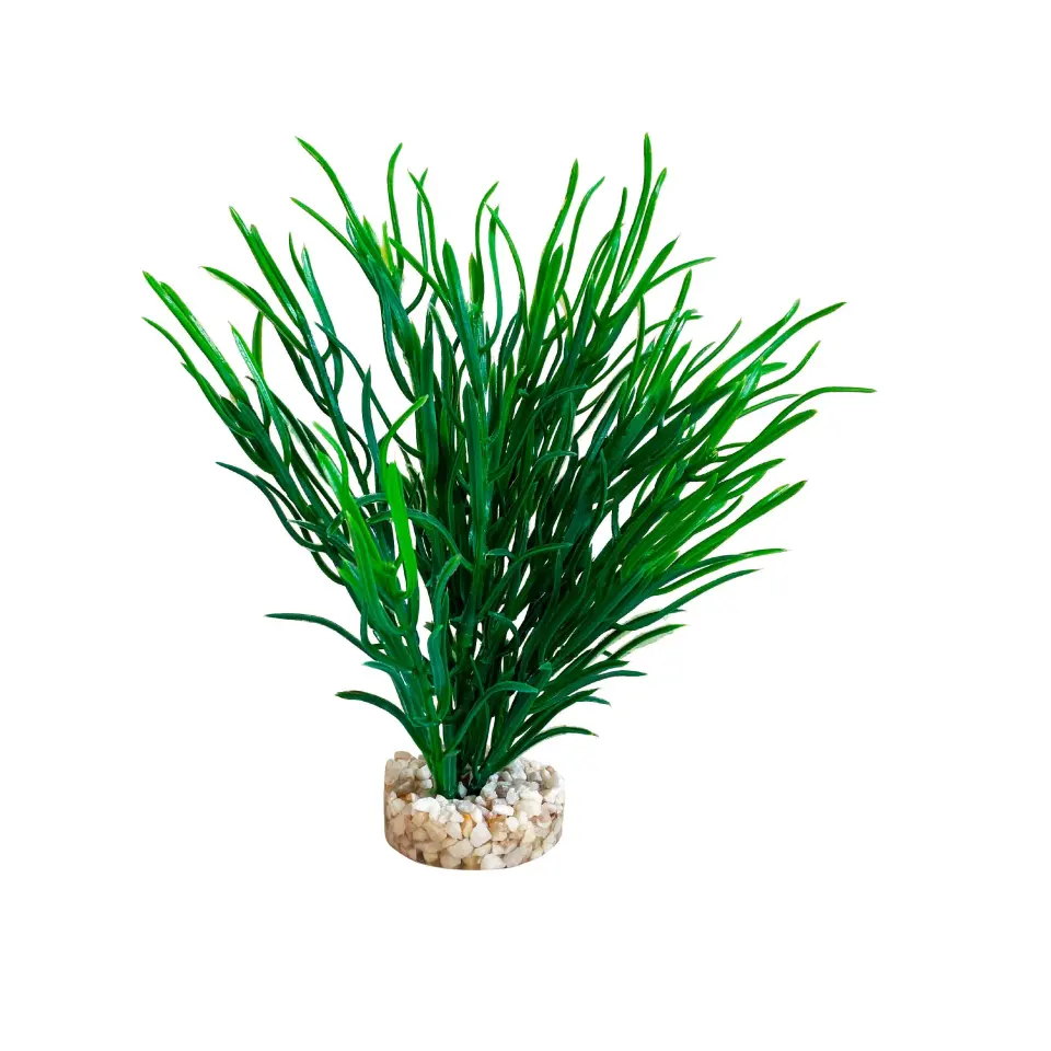 Sydeco Planta Sea Grass Medium 18 cm 349613