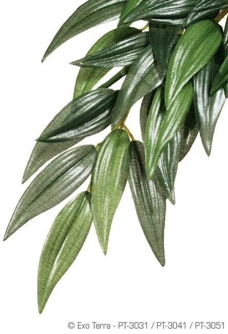Exo Terra Planta Ruscus Medium 55 CM PT3041