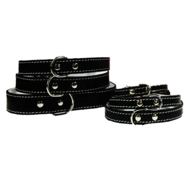 Pet Expert Zgarda Pasla Negru - nr-4
