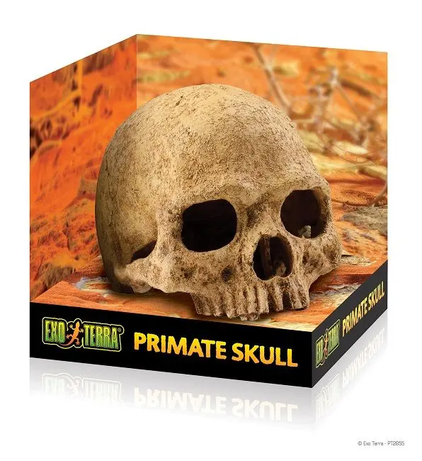 Exo Terra Decor Primate Skull PT2855