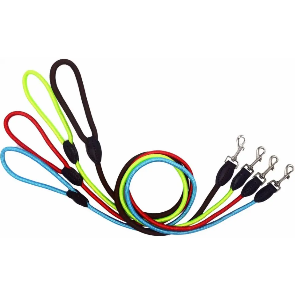 Lesa cordelina pentru caini de talie mica, 6 mm x 1.2 m