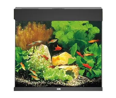 Juwel Acvariu Led Lido 120 Negru