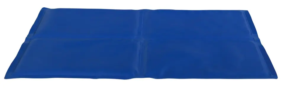 Saltea Racoritoare 40x30 cm Albastru 28683