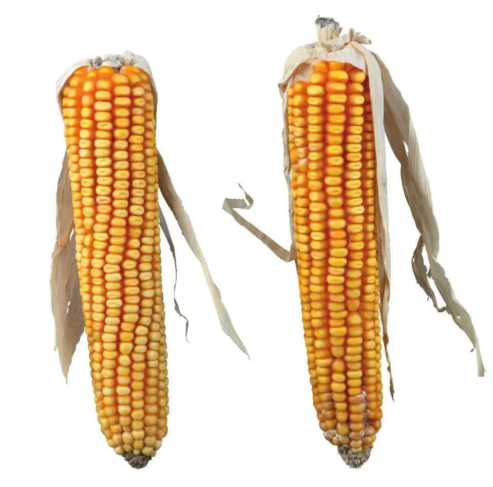 Stiuleti cu Porumb 250 g 60288