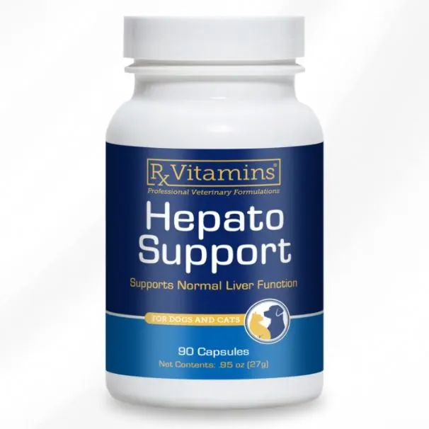 RX Hepato Support, 90 capsule