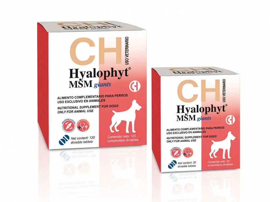 Hyalophyt MSM Giants - Supliment pentru articulatii - 120cpr.