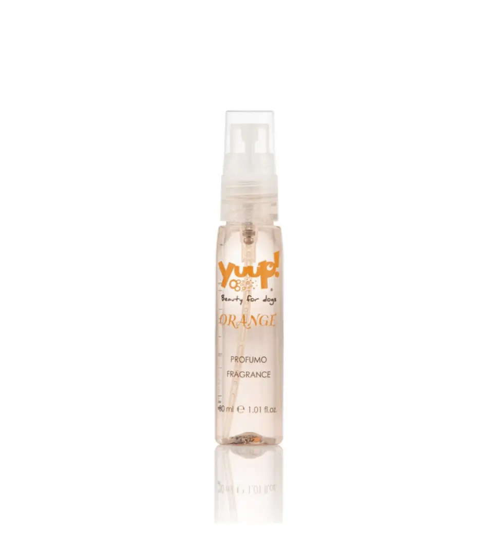 Parfum Yuup Orange - 30ml