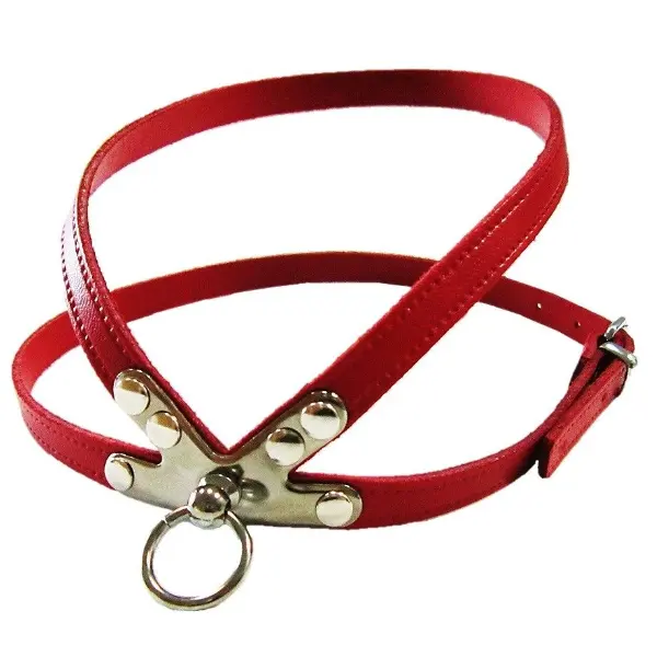 Pet Expert Ham Clasic Rosu - nr-4