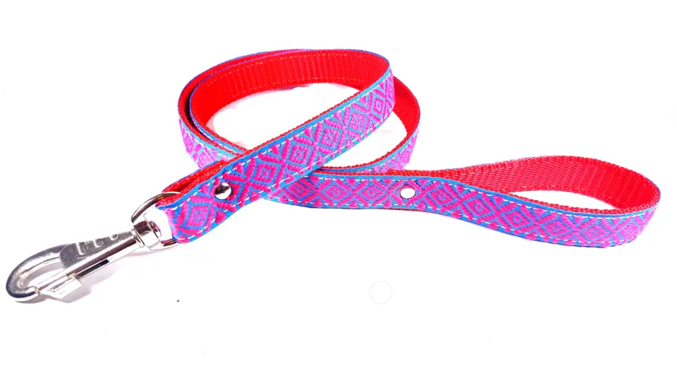 Lesa textila, albastra cu roz, pentru caini de talie mica si medie, 25 mm x 130 cm