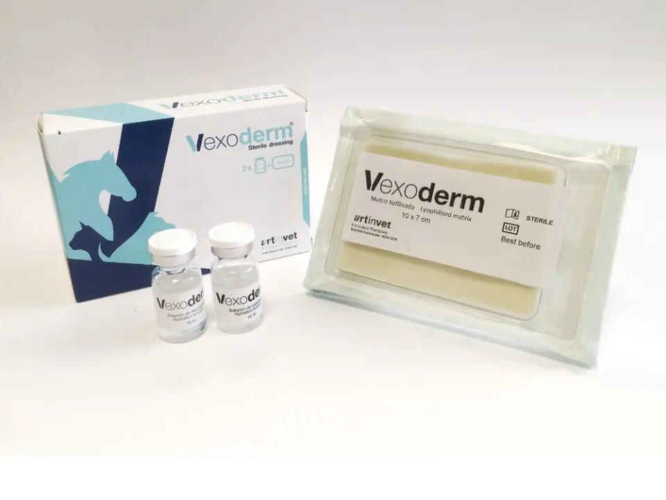 VEXODERM, 10x7 cm