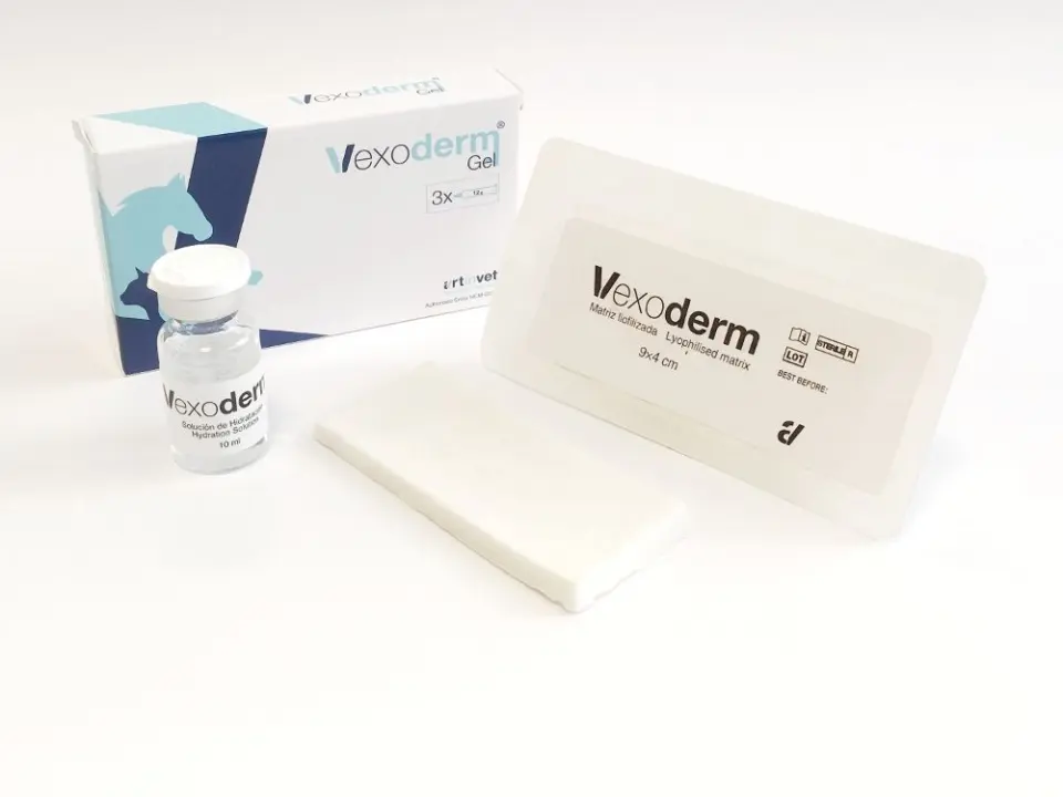 VEXODERM, 9x4 cm