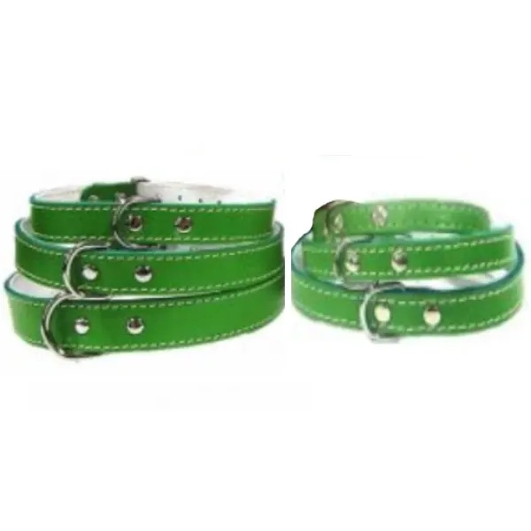 Pet Expert Zgarda Pasla Verde - nr-4