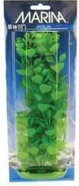 Marina Planta MoneyWort 30 CM PP1216